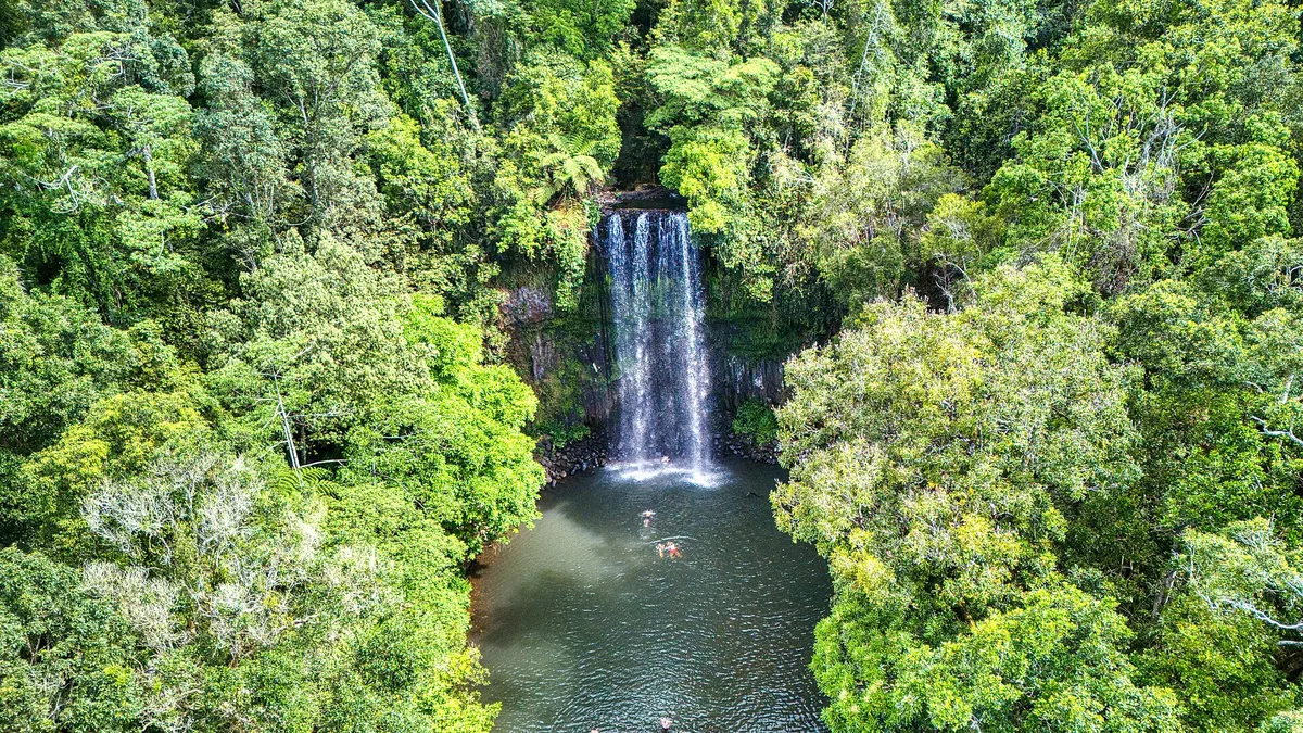 Millaa Millaa Falls in Australia