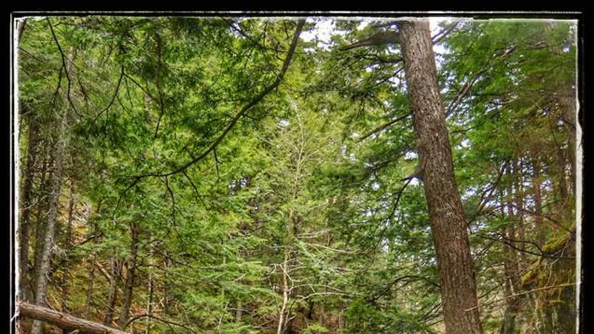 Gibson Falls in Canada