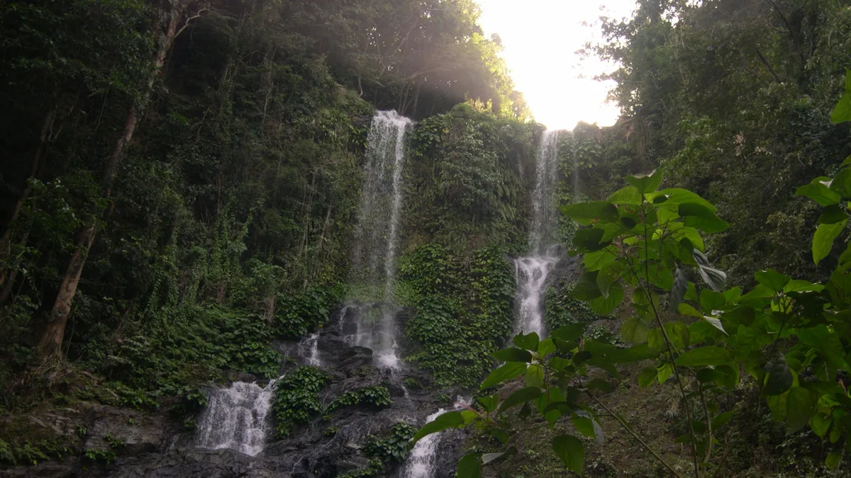 Tamaraw Falls in Philippines