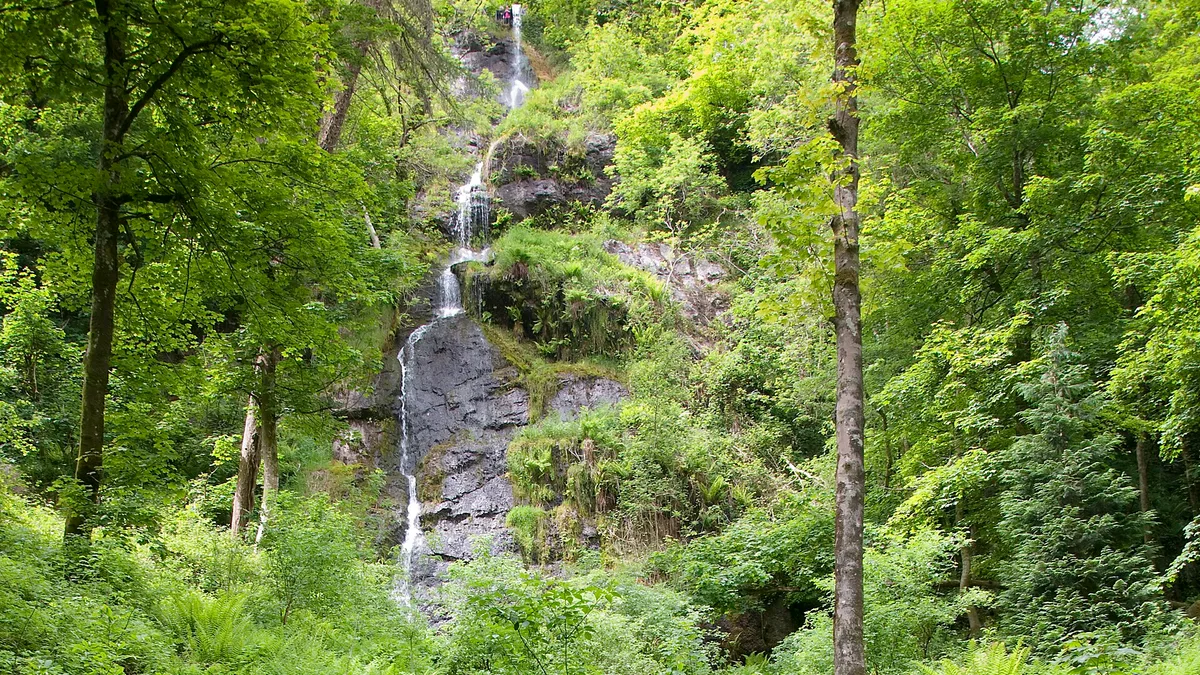 Canonteign Falls in United Kingdom