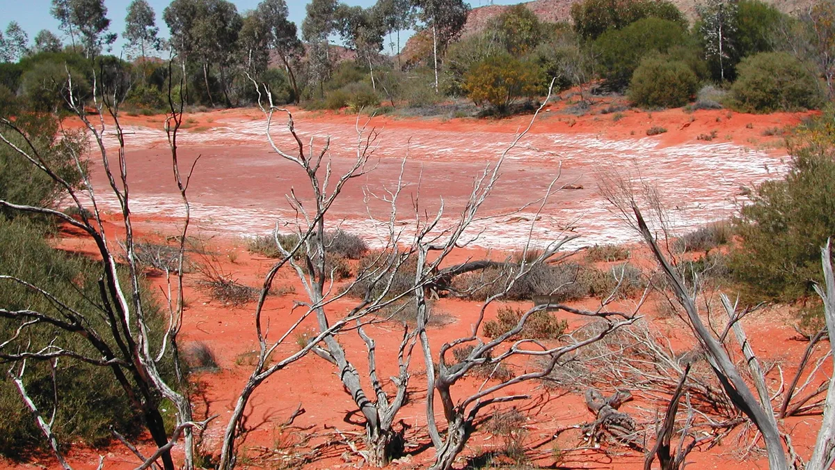 Alice Springs Desert Park in Australia