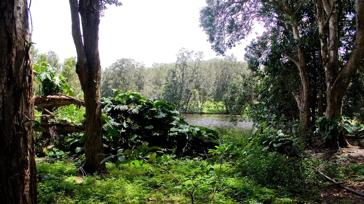 Currumbin Wildlife Sanctuary in Australia