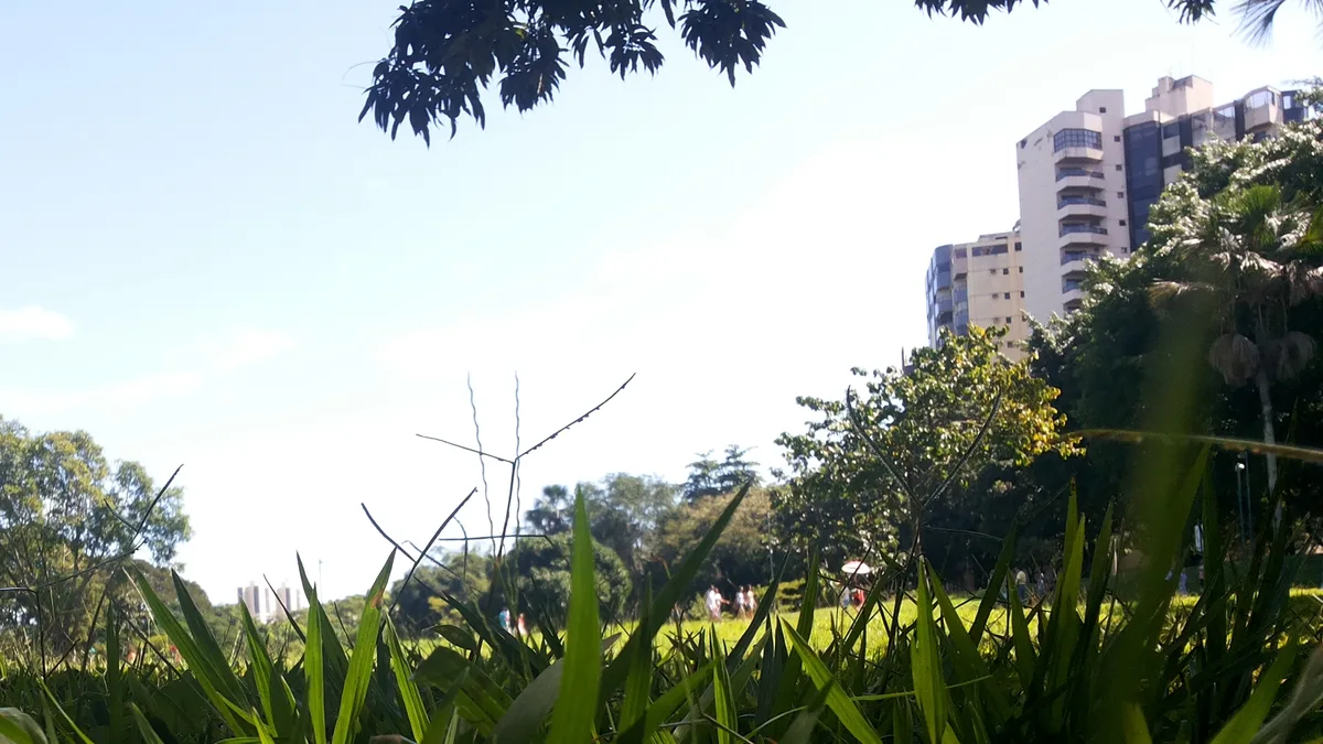 Parque Zoológico de Goiânia in Brazil