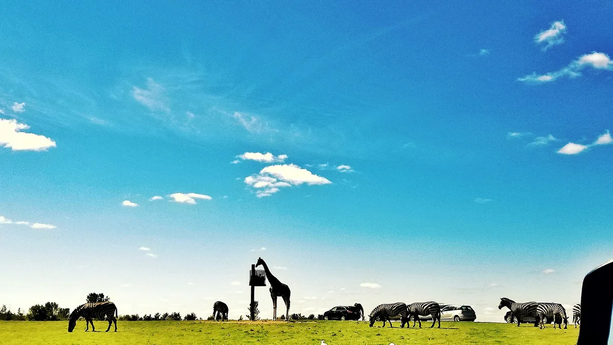African Lion Safari in Canada