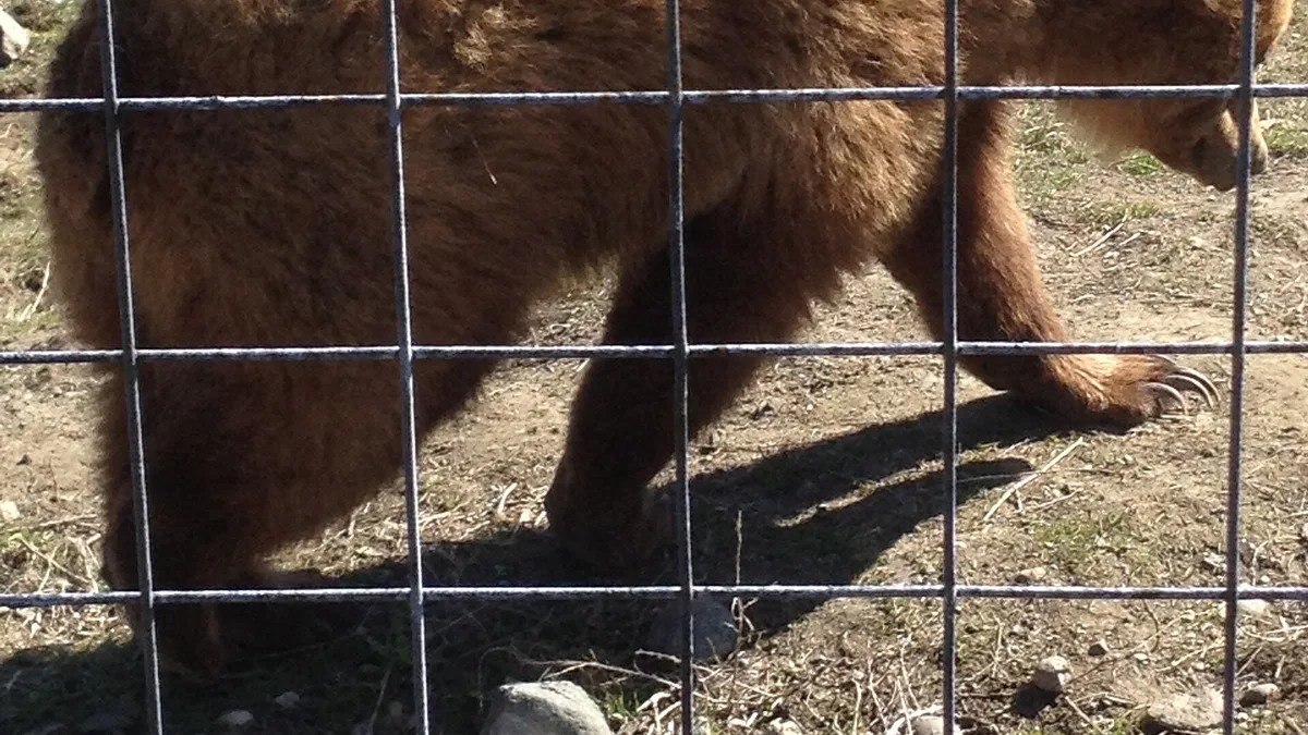 BC Wildlife Park in Canada