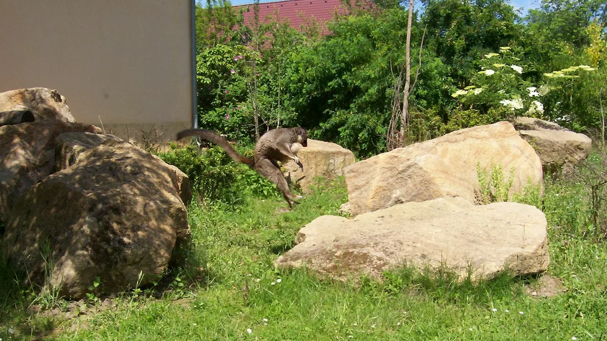 Plzeň Zoo in Czech Republic