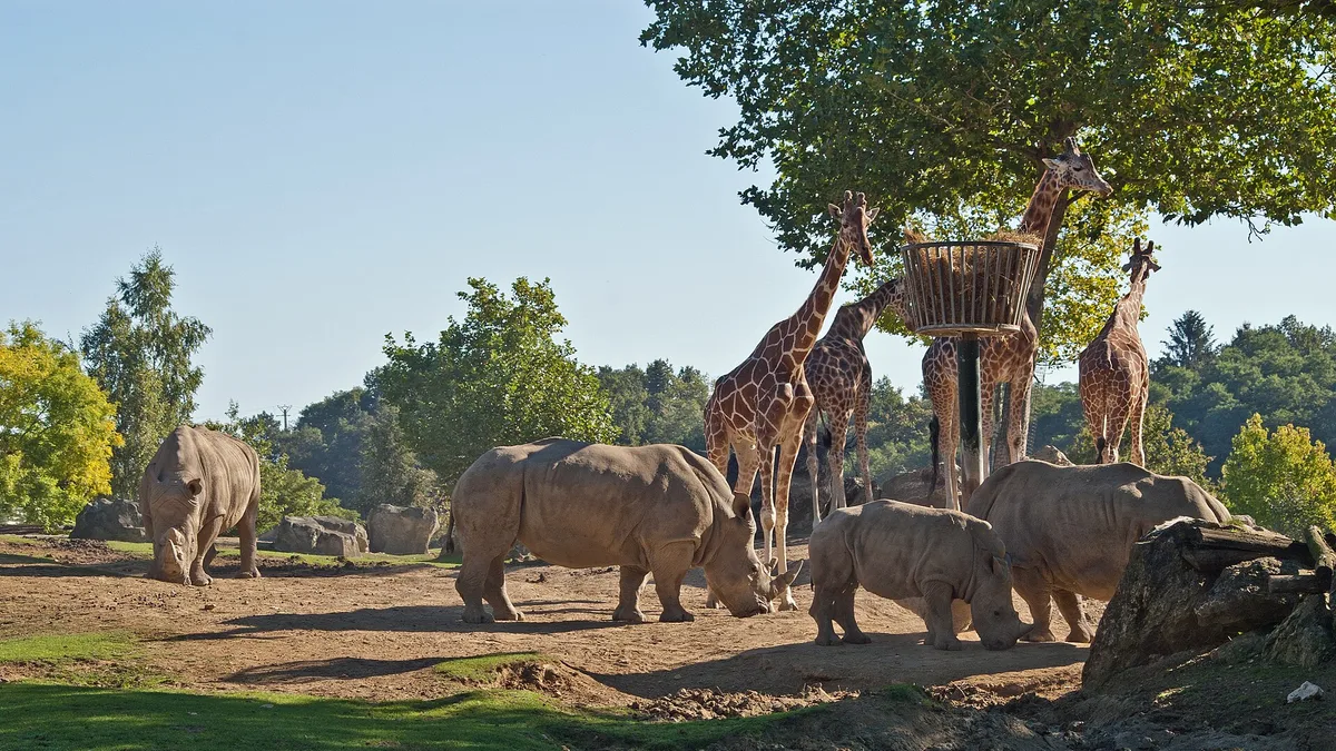 ZooParc de Beauval in France