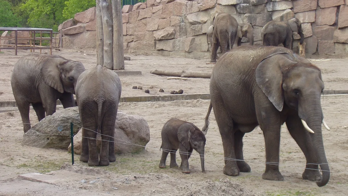 Tierpark Berlin in Germany