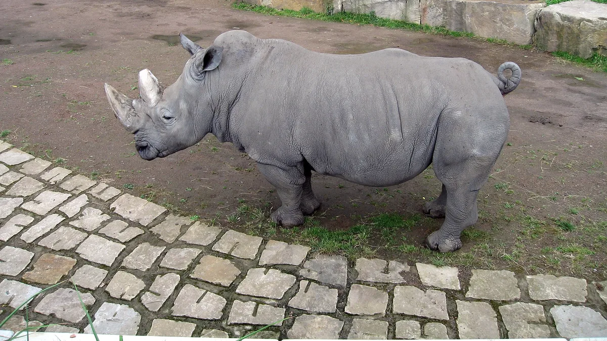 Zoo Dortmund in Germany