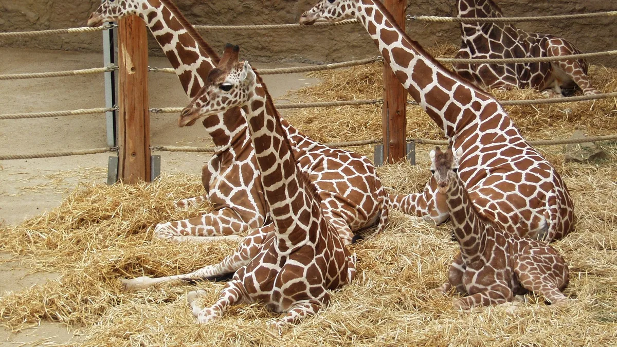 Zoo Duisburg in Germany