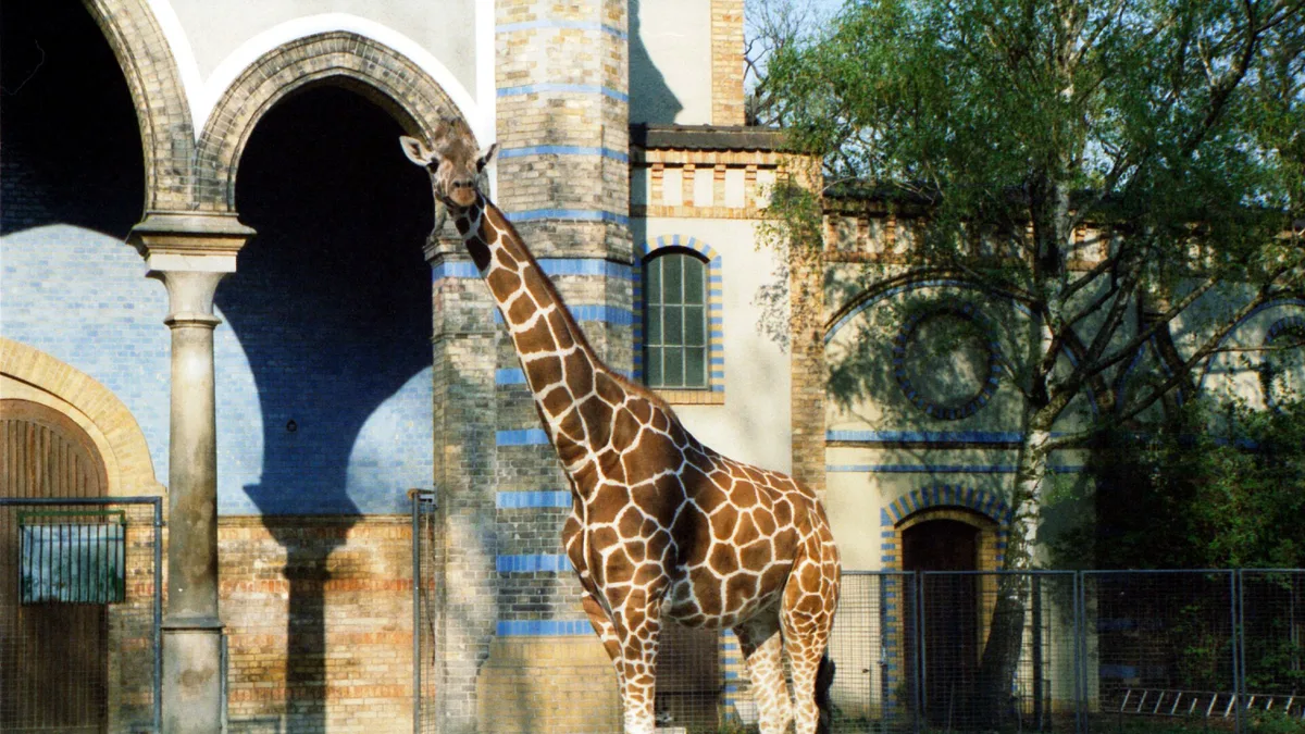 Berlin Zoological Garden in Germany