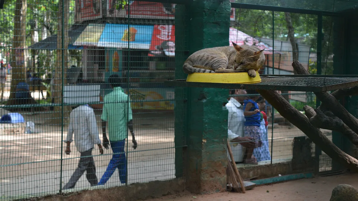 Bannerghatta Biological Park in India