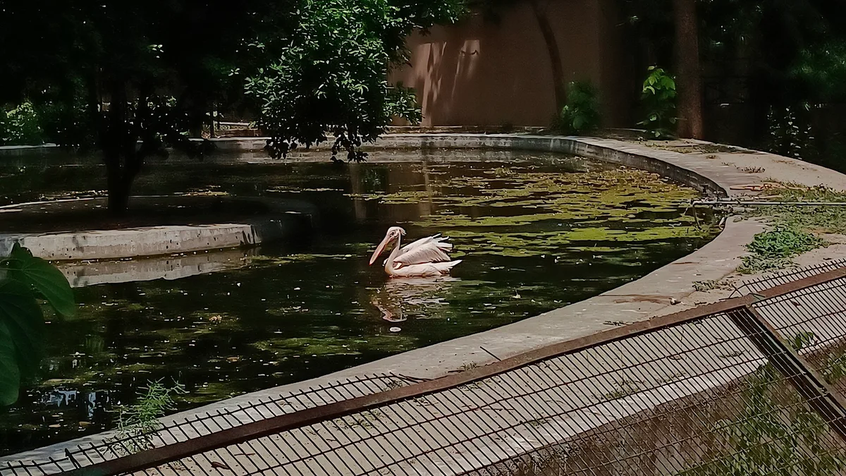 Nawab Wajid Ali Shah Zoological Garden in India