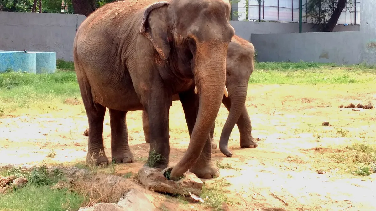Sanjay Gandhi Biological Park in India