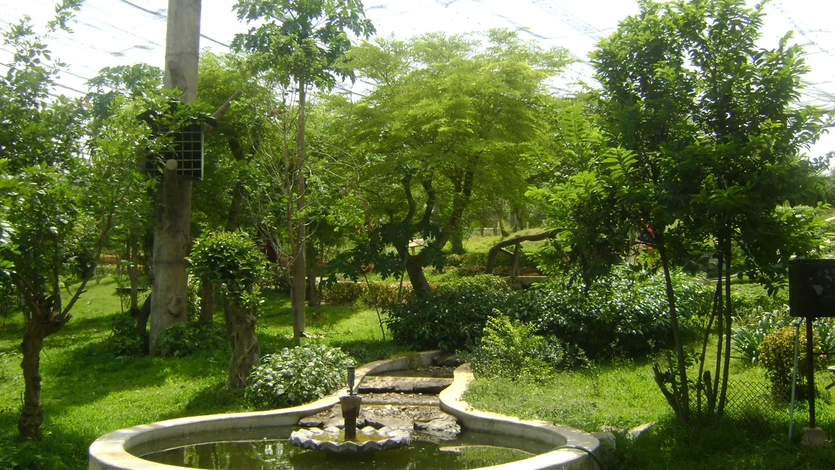 Arignar Anna Zoological Park in India