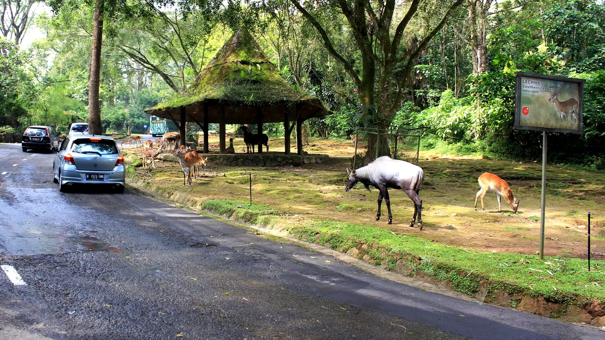 The Grand Taman Safari Prigen in Indonesia