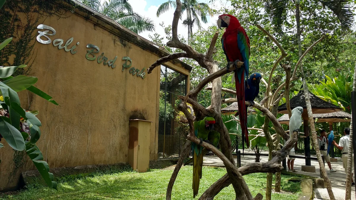 Bali Bird Park in Indonesia