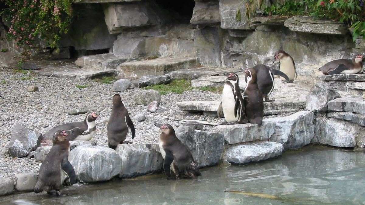 Dublin Zoo in Ireland