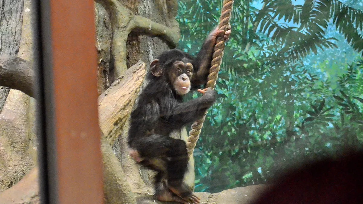 Yokohama Zoological Gardens Zoorasia in Japan