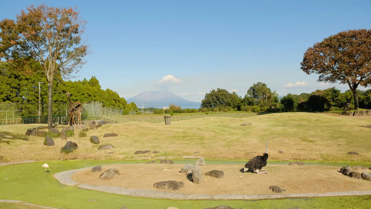 Hirakawa Zoological Park in Japan