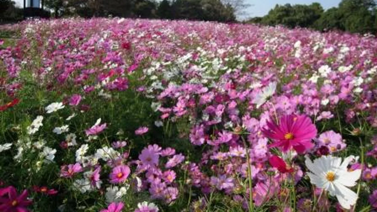 Kumamoto City Zoological and Botanical Gardens in Japan