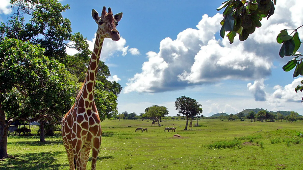 Calauit Safari Park in Philippines