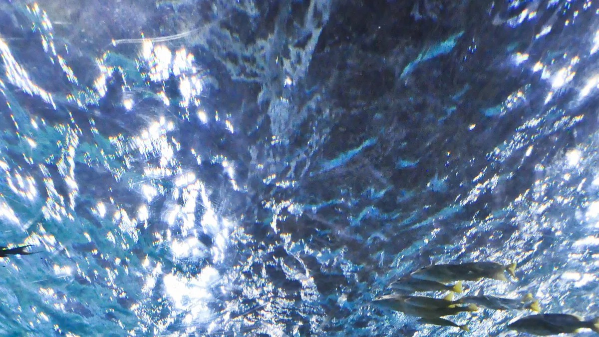 Manila Ocean Park in Philippines