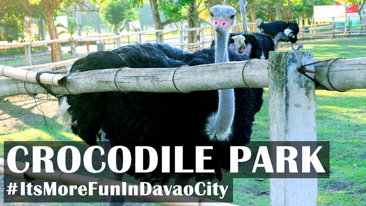 Davao Crocodile Park in Philippines
