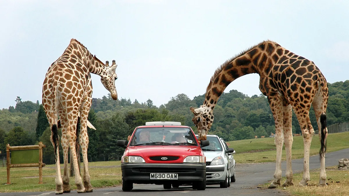 West Midlands Safari Park in United Kingdom
