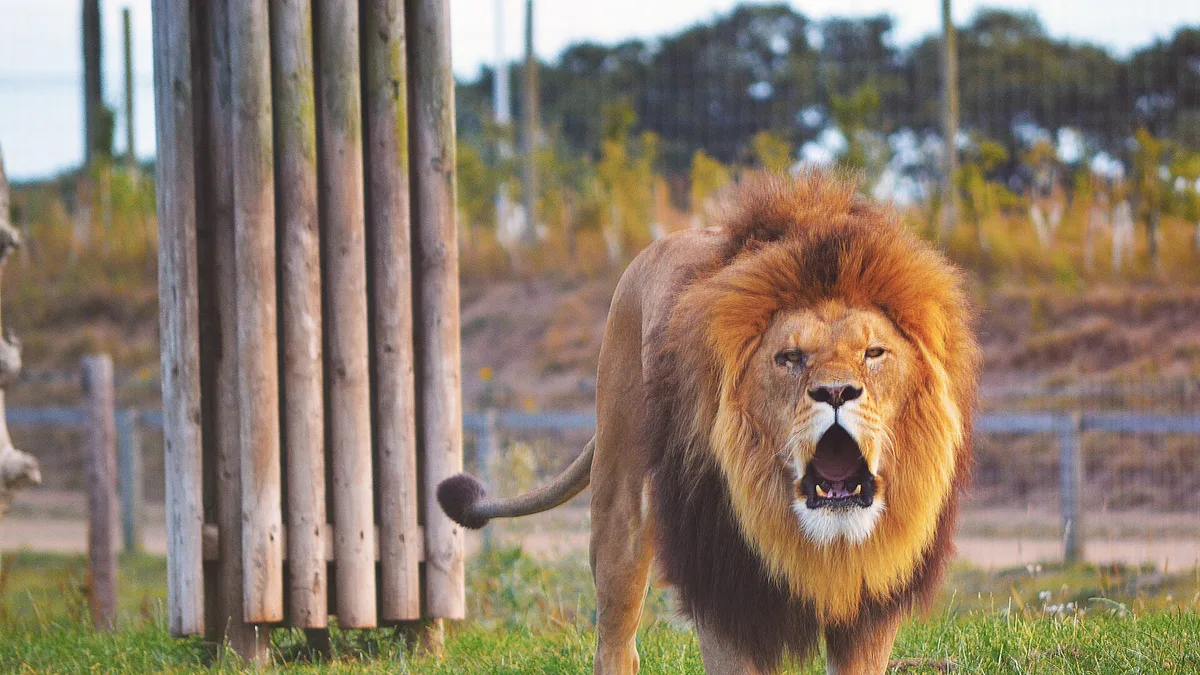 Yorkshire Wildlife Park in United Kingdom