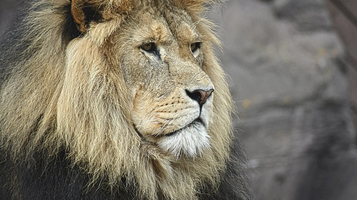 Colchester Zoological Society in United Kingdom