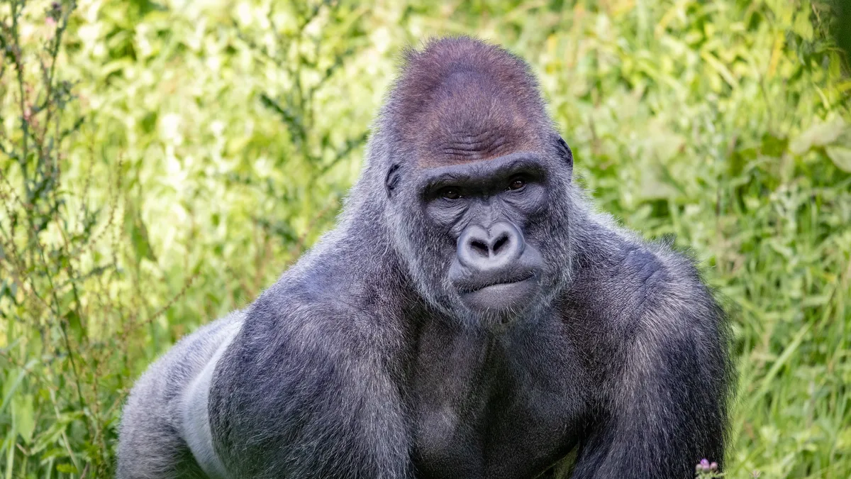Paignton Zoo in United Kingdom