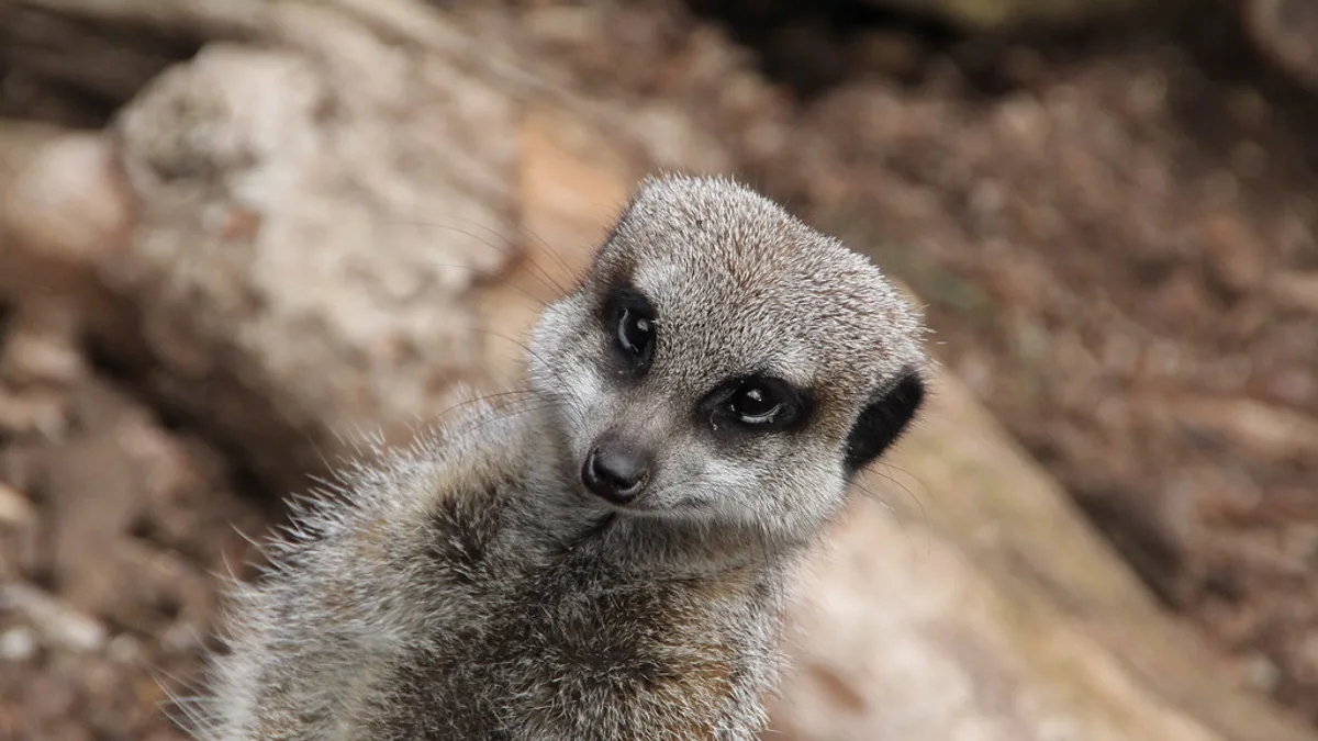 Tropiquaria Zoo in United Kingdom
