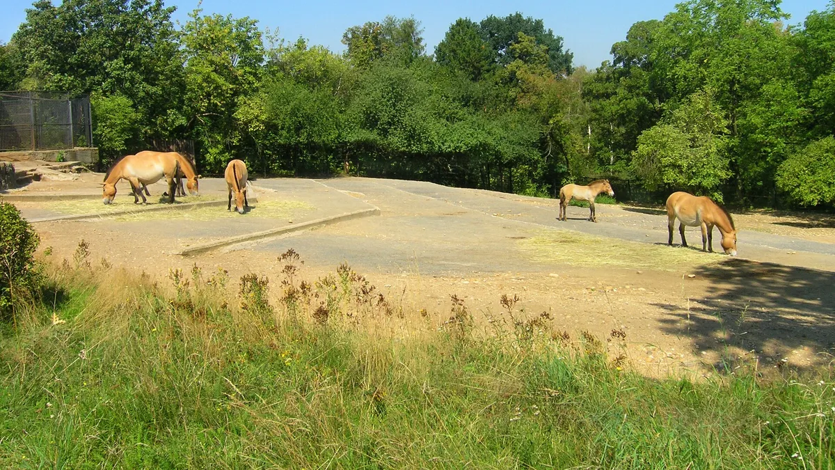 Smithsonian's National Zoo and Conservation Biology Institute in United States
