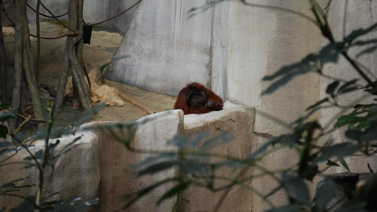 Brookfield Zoo Chicago in United States