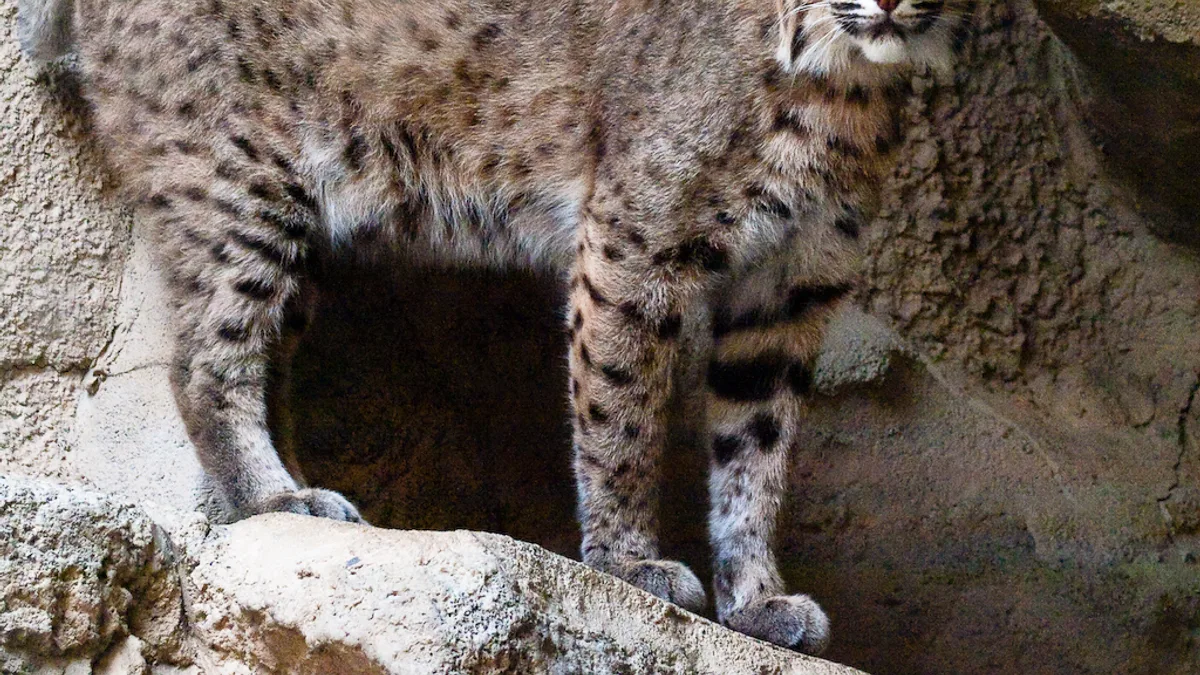 Fort Worth Zoo in United States