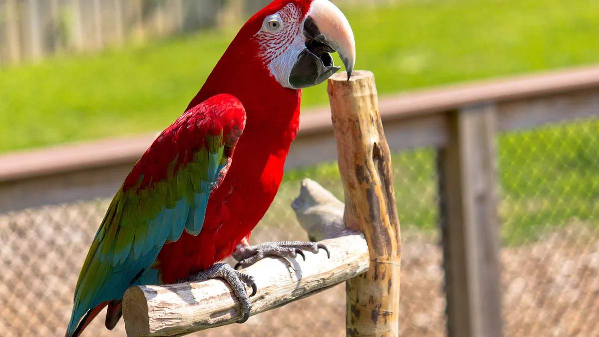 The Maryland Zoo in Baltimore in United States