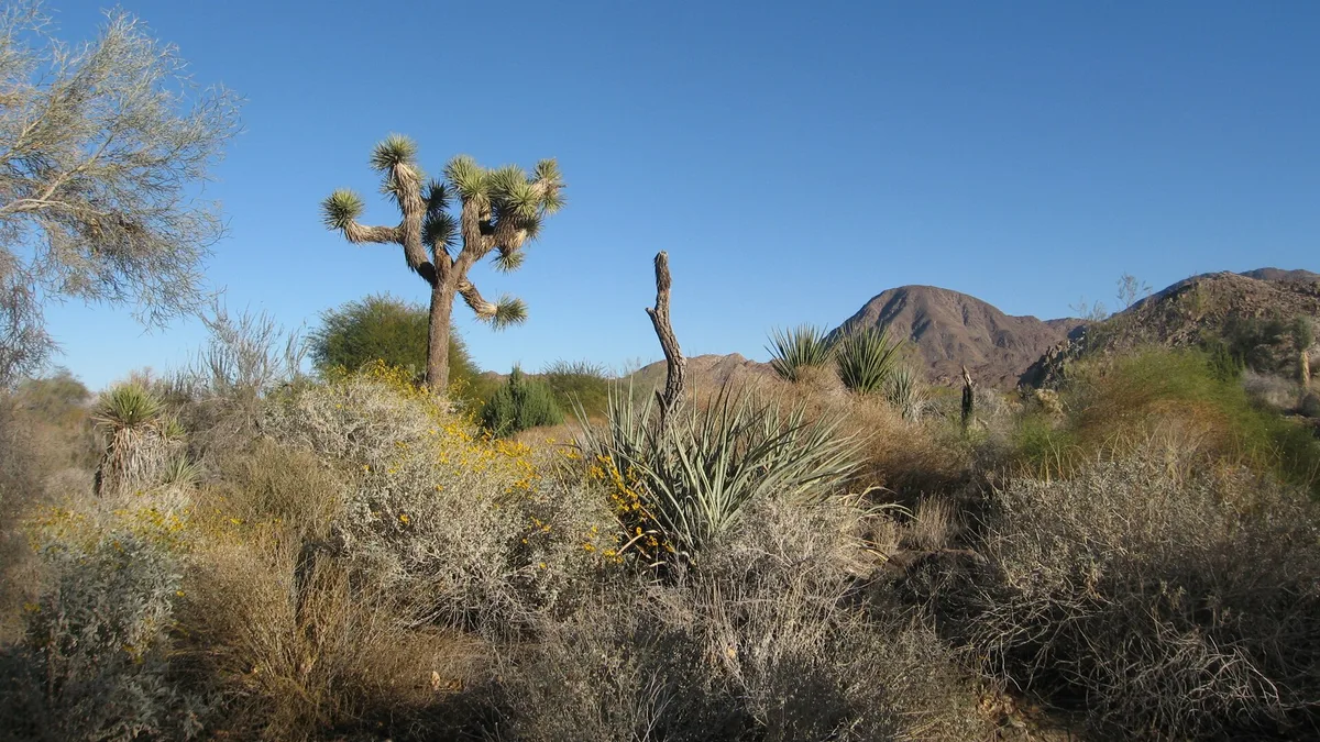 The Living Desert Zoo and Gardens in United States